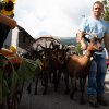 fete_villageoise_divers_20220826-27-28_52
